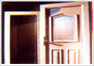 ABS Doors